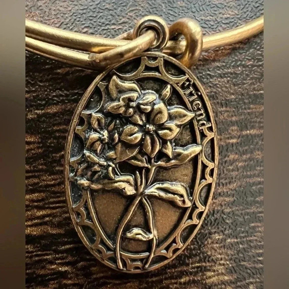 Alex and Ani | Friend, Expandable Rafaelian Bangle Bracelet. - Picture 5 of 8